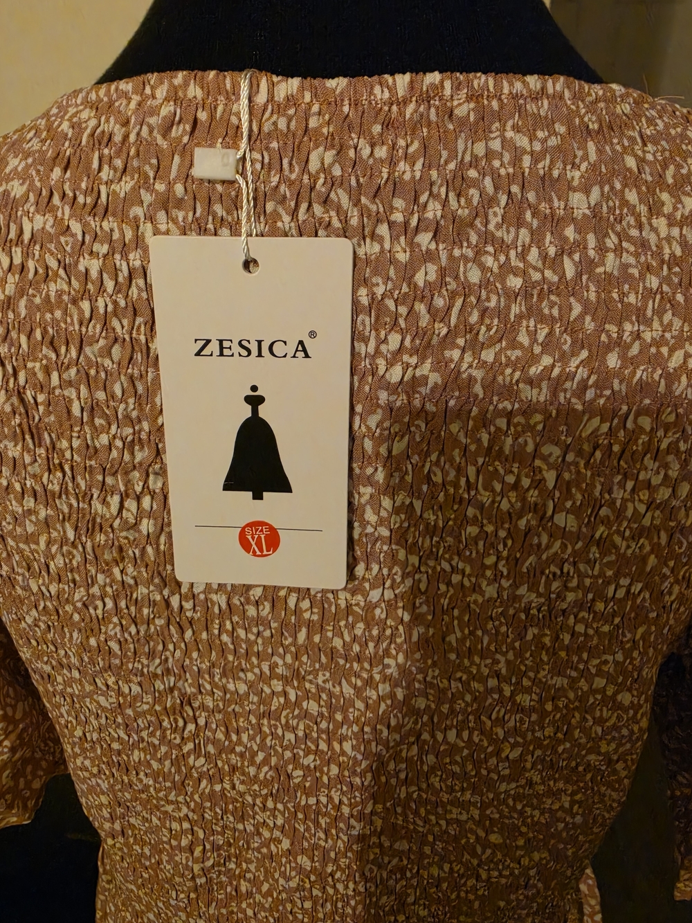 Zesica Women's Maxi Dress in Warm Brown Floral